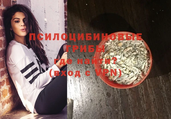 бошки Алзамай