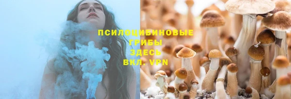 бошки Алзамай