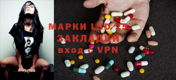 шишки Алексин